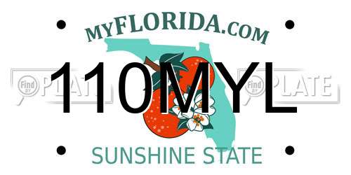 110MYL Florida License Plate