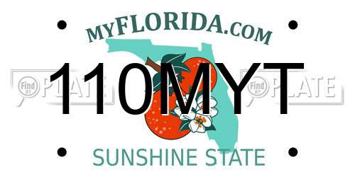 110MYT Florida License Plate