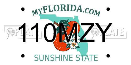110MZY Florida License Plate