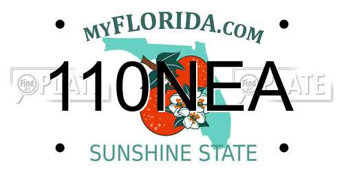 110NEA Florida License Plate