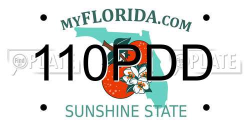 110PDD Florida License Plate