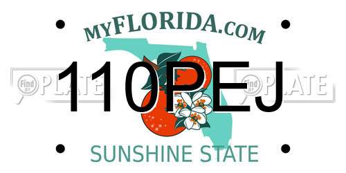 110PEJ Florida License Plate