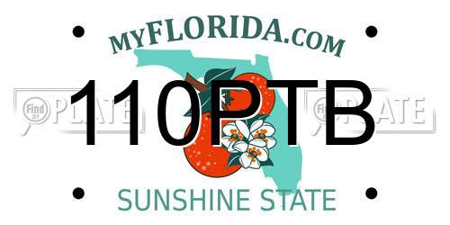 110PTB Florida License Plate