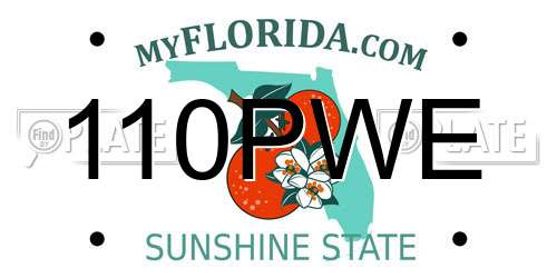 110PWE Florida License Plate