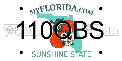 110QBS Florida License Plate