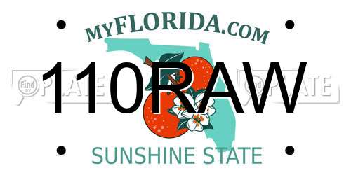 110RAW Florida License Plate