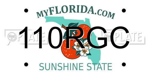 110RGC Florida License Plate