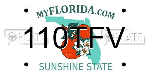 110TFV Florida License Plate