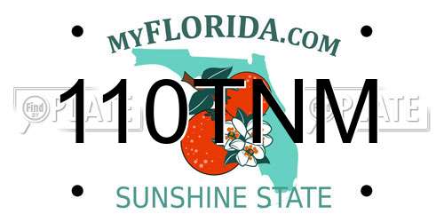 110TNM Florida License Plate
