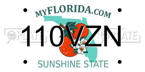 110VZN Florida License Plate