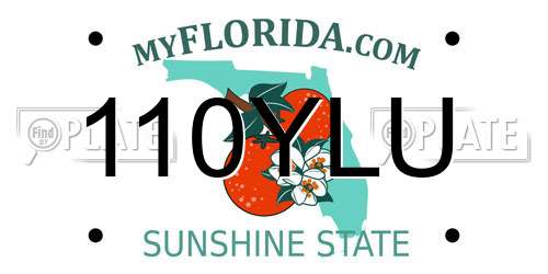 110YLU Florida License Plate
