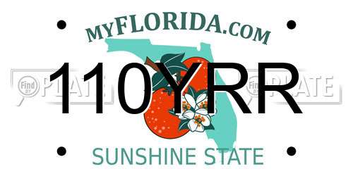 110YRR Florida License Plate