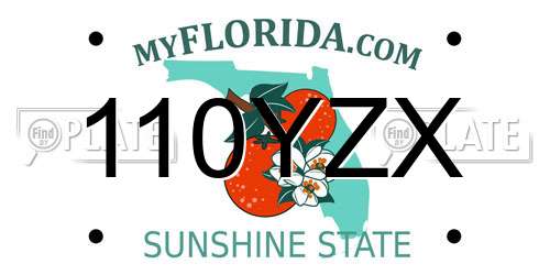 110YZX Florida License Plate