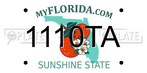 1110TA Florida License Plate