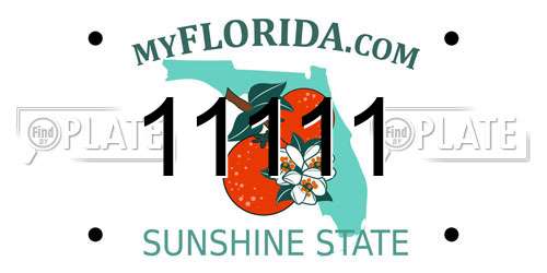 11111 Florida License Plate