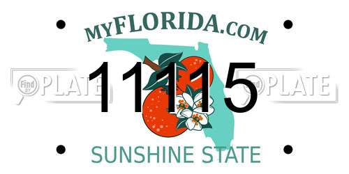 11115 Florida License Plate