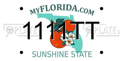 1111TT Florida License Plate