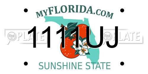 1111UJ Florida License Plate