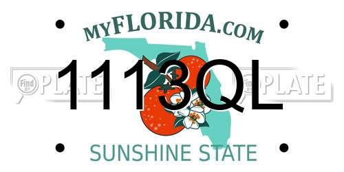 1113QL Florida License Plate