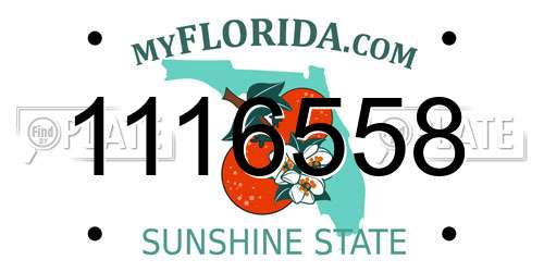 1116558 Florida License Plate