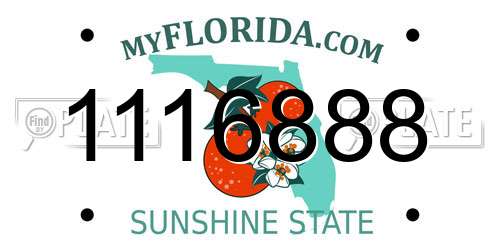 1116888 Florida License Plate