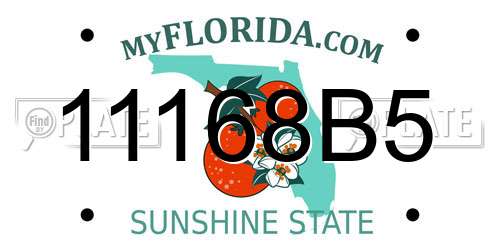 11168B5 Florida License Plate