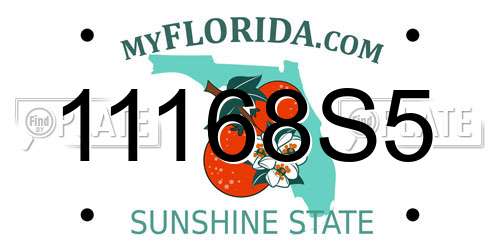 11168S5 Florida License Plate