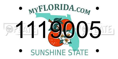 1119005 Florida License Plate