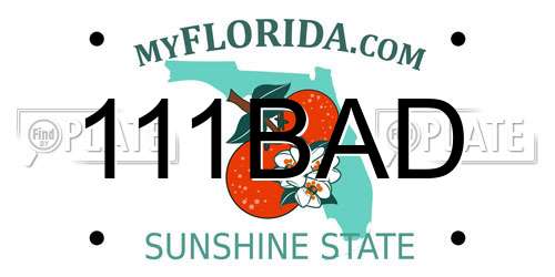 111BAD Florida License Plate