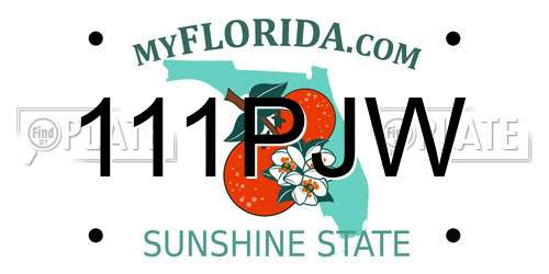 111PJW Florida License Plate