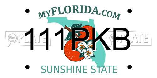 111PKB Florida License Plate