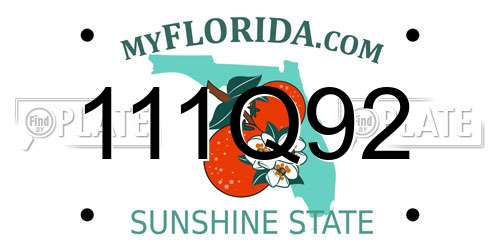 111Q92 Florida License Plate
