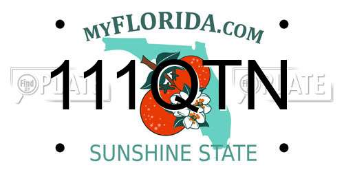 111QTN Florida License Plate