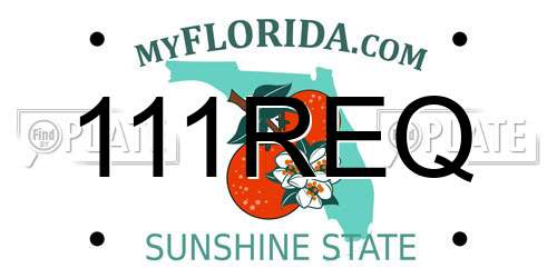 111REQ Florida License Plate