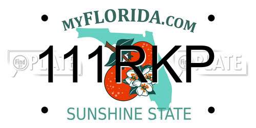 111RKP Florida License Plate
