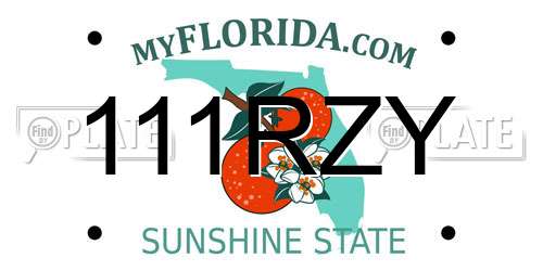 111RZY Florida License Plate