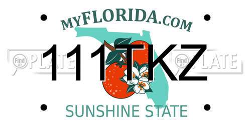 111TKZ Florida License Plate