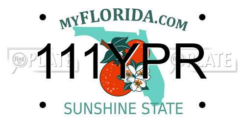 111YPR Florida License Plate