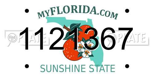 1121367 Florida License Plate