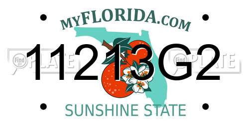 11213G2 Florida License Plate