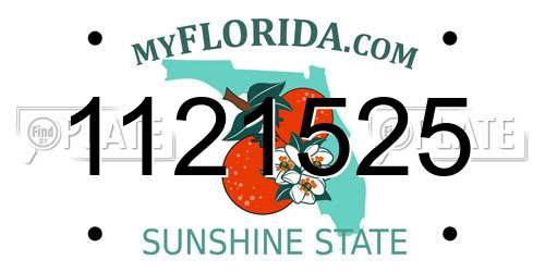 1121525 Florida License Plate