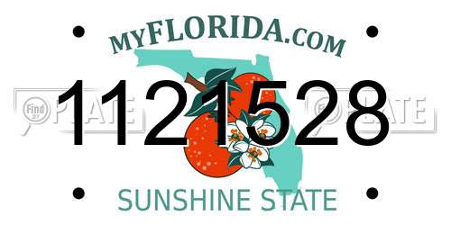 1121528 Florida License Plate