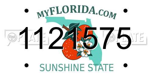 1121575 Florida License Plate
