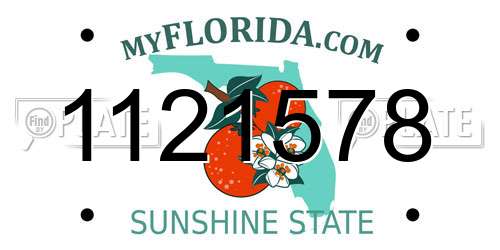 1121578 Florida License Plate