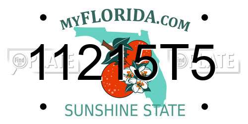 11215T5 Florida License Plate