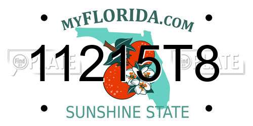 11215T8 Florida License Plate