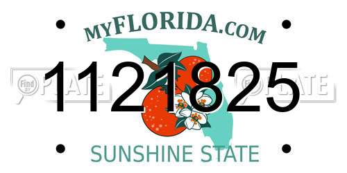 1121825 Florida License Plate