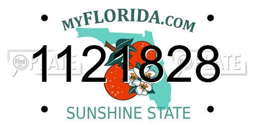 1121828 Florida License Plate