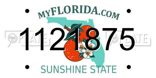 1121875 Florida License Plate