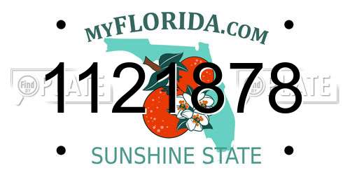 1121878 Florida License Plate